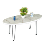 Kawachi Engineered Wood Ovel Shape Centre Table Tea/Coffee Table for Living Room with Metal Hairpin Leg Caspio Grey Model no kw104