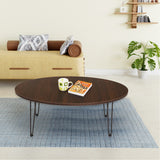 Kawachi Engineered Wood Ovel Shape Centre Table Tea/Coffee Table for Living Room with Metal Hairpin Leg Wall Nut Model no kw104