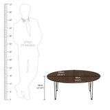 Kawachi Engineered Wood Ovel Shape Centre Table Tea/Coffee Table for Living Room with Metal Hairpin Leg Wall Nut Model no kw104
