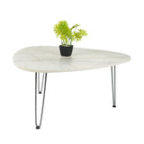 Kawachi Engineered Wood  Trianguler Centre Table Tea, Coffee Table for Living Room with Metal Hairpin Leg New Caspio Grey  KW101