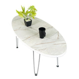 Kawachi Engineered Wood Ovel Shape Centre Table Tea/Coffee Table for Living Room with Metal Hairpin Leg Caspio Grey Model no kw104