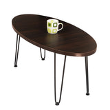 Kawachi Engineered Wood Ovel Shape Centre Table Tea/Coffee Table for Living Room with Metal Hairpin Leg Wall Nut Model no kw104